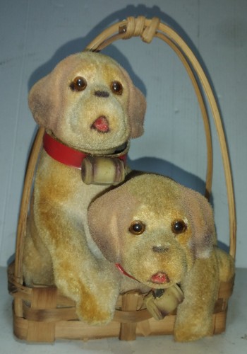 Coppia cagnolini nel - di,